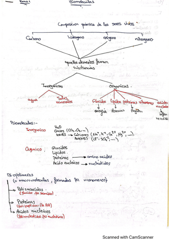 Miniatura del documento Tema-1-Bloque-I.pdf