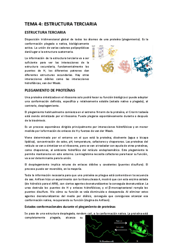 Miniatura del documento TEMA-4-ESTRUCTURA-TERCIARIA.docx.pdf