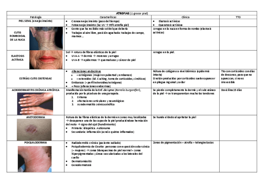 Miniatura del documento ATROFIAS.pdf