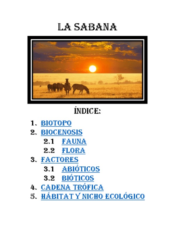 Miniatura del documento TRABAJO-LA-SABANA-AFRICANA.pdf