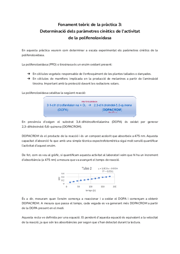 Miniatura del documento Fonament-teoric-practica-3.pdf