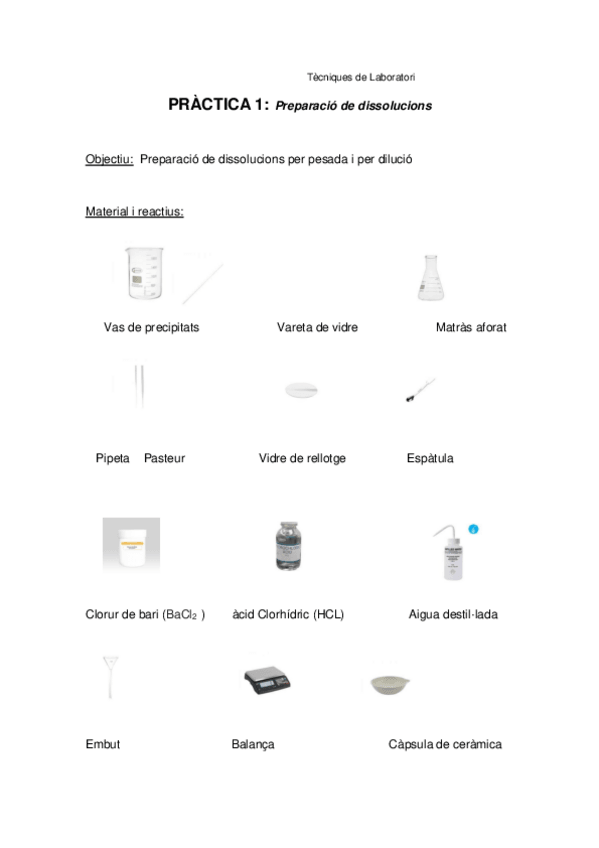 Miniatura del documento PRACTICA-1.1.pdf