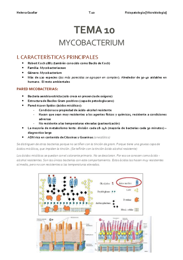 Miniatura del documento Microbiologia-T10.pdf