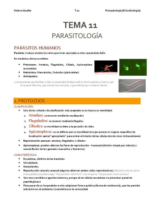 Miniatura del documento Microbiologia-T11.pdf