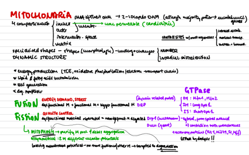 Miniatura del documento Resums-English.pdf