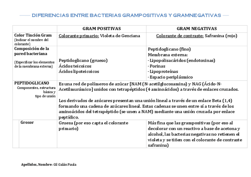 Miniatura del documento Diferencias-Bacterias-Gram-Positivas-y-Negativas.pdf