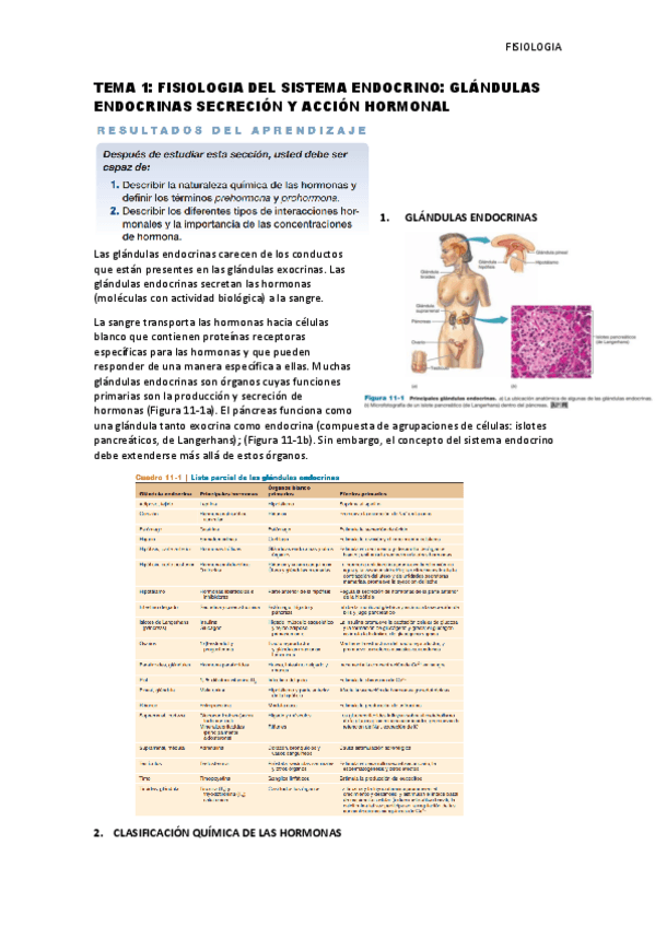 Miniatura del documento Tema-1-Fisiologia-del-sistema-endocrino.pdf