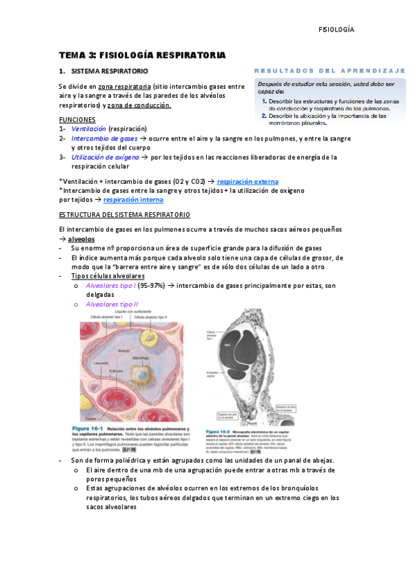 Miniatura del documento Tema-3-Fisiologia-respiratoria.pdf