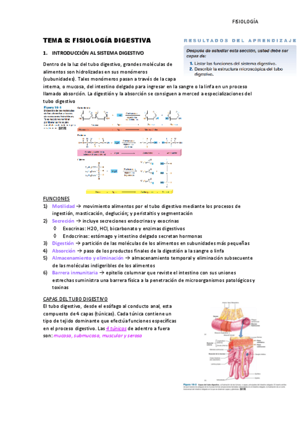 Miniatura del documento Tema-5-Fisiologia-del-sistema-digestivo.pdf