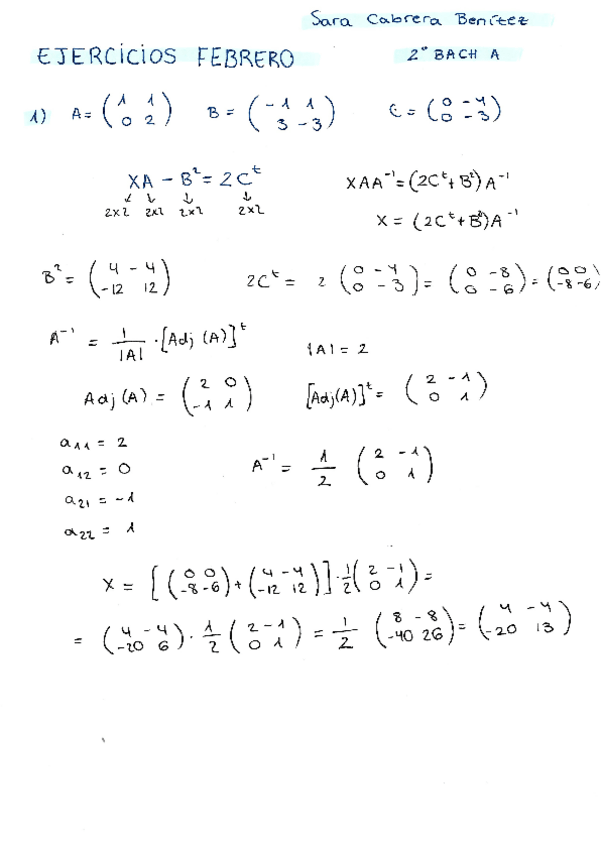 Miniatura del documento Ejercicios-de-matrices.pdf