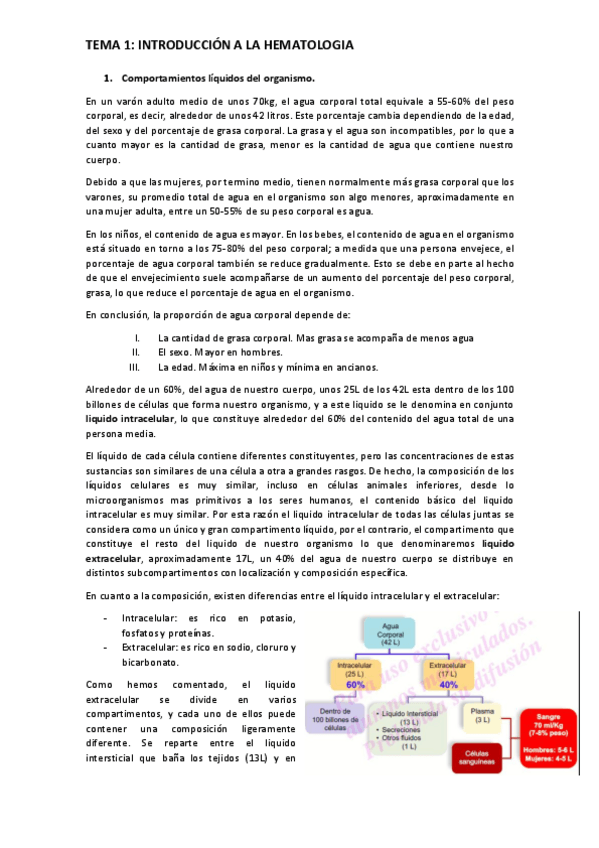 Miniatura del documento tema-1-23.pdf