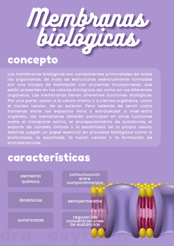 Miniatura del documento membranas-biologicas.pdf