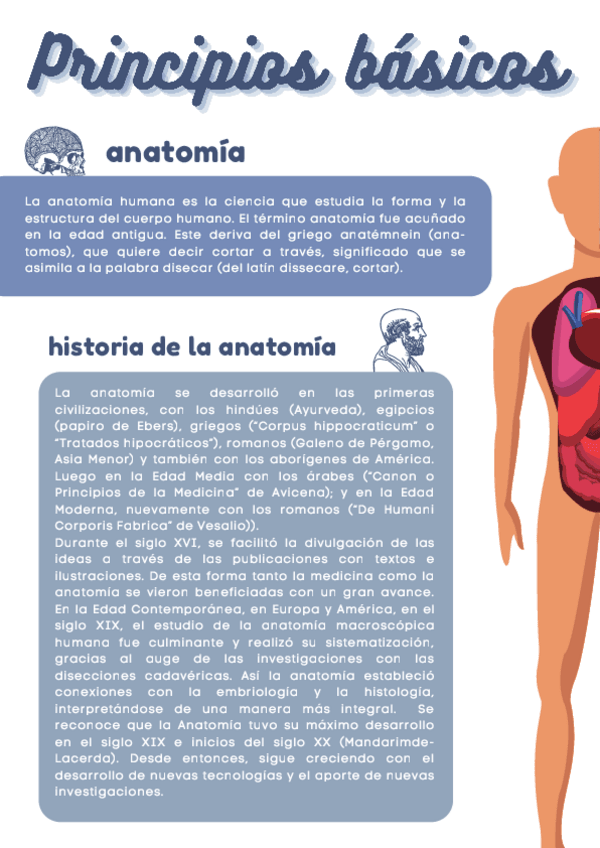 Miniatura del documento PRICIPIOS-DE-ANATOMIA.pdf