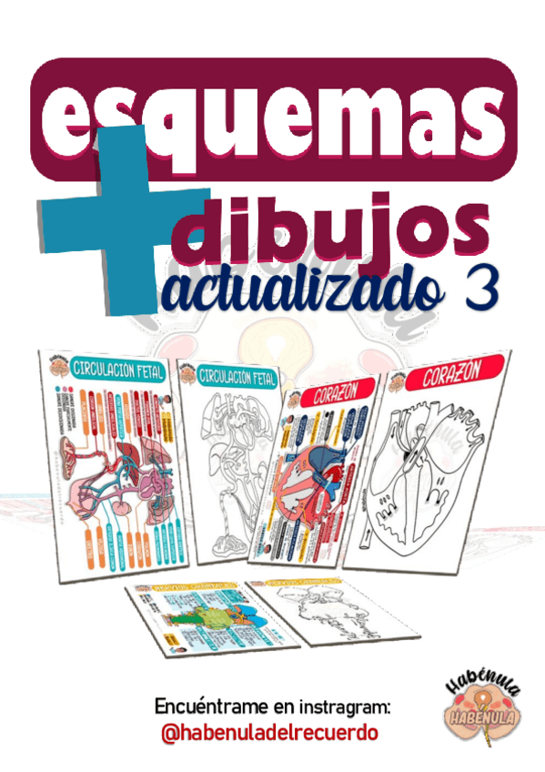 Miniatura del documento ESQUEMAS-ANATOMIA.pdf