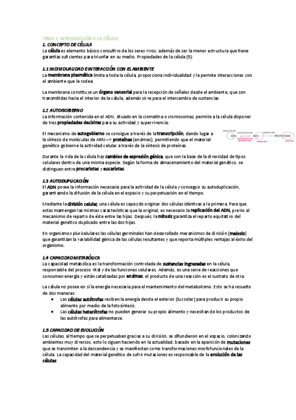 Miniatura del documento Tema-1.pdf