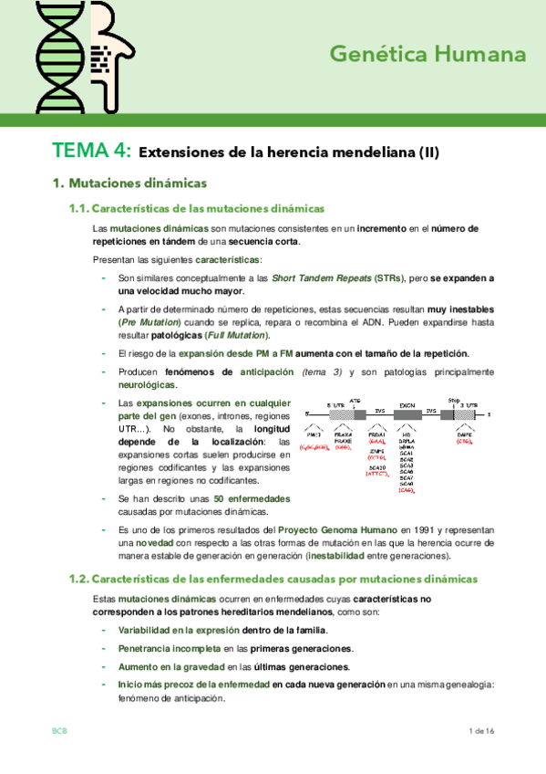 Miniatura del documento Tema-4.pdf
