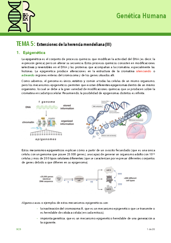 Miniatura del documento Tema-5.pdf