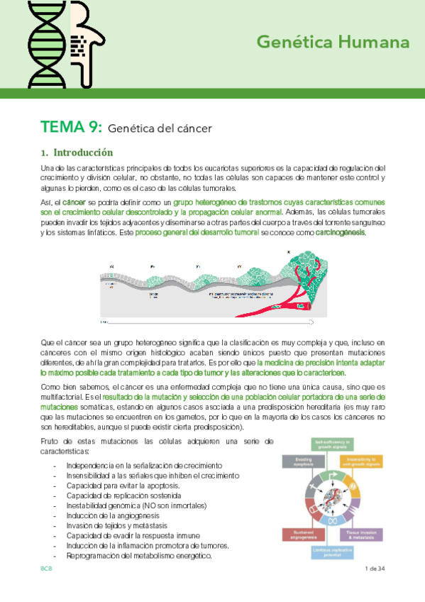 Miniatura del documento Tema-9.pdf