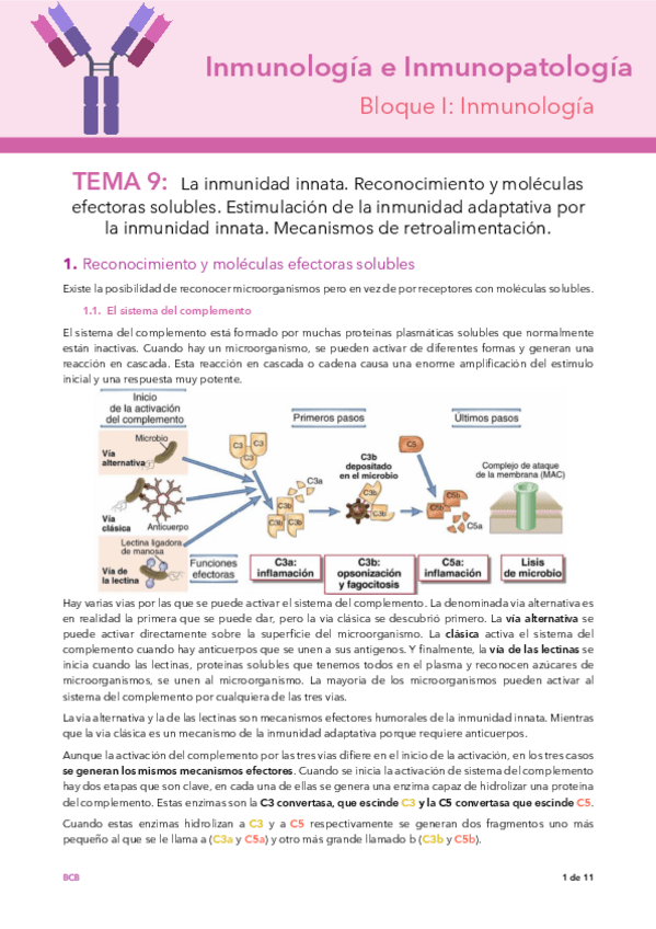 Miniatura del documento Tema-9.pdf
