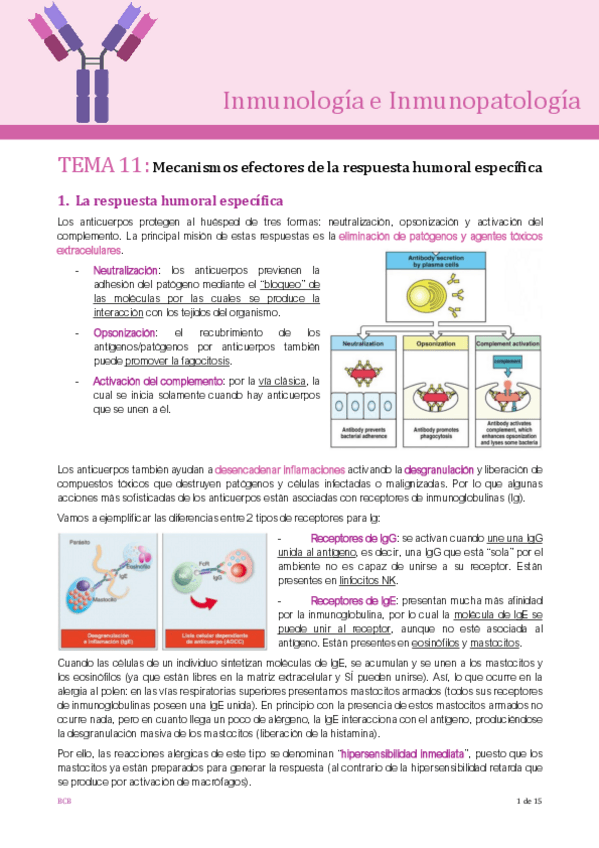 Miniatura del documento Tema-11.pdf