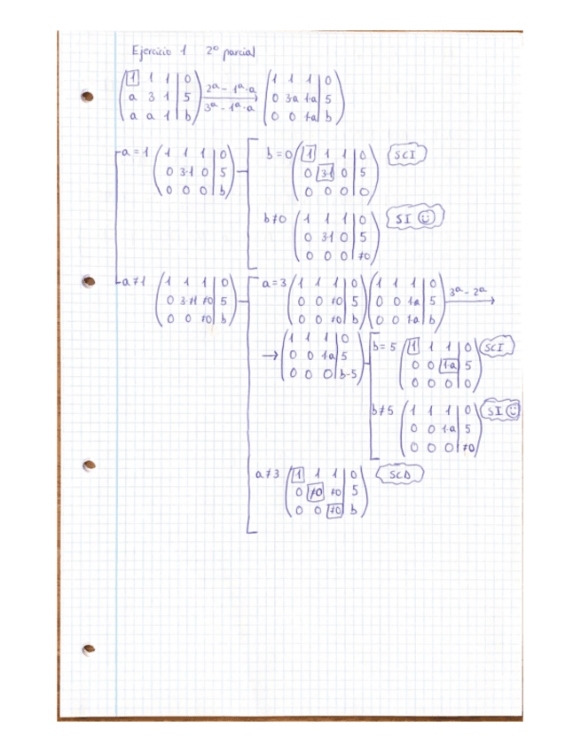Miniatura del documento Ejercicio-1-2-parcial.pdf