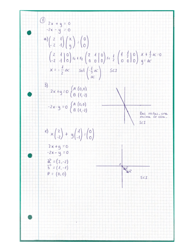 Miniatura del documento Ejercicio-1.pdf