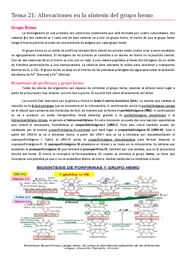 Miniatura del documento Tema 21.pdf