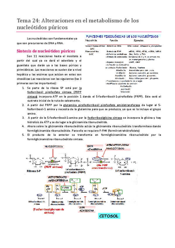 Miniatura del documento Tema 24.pdf