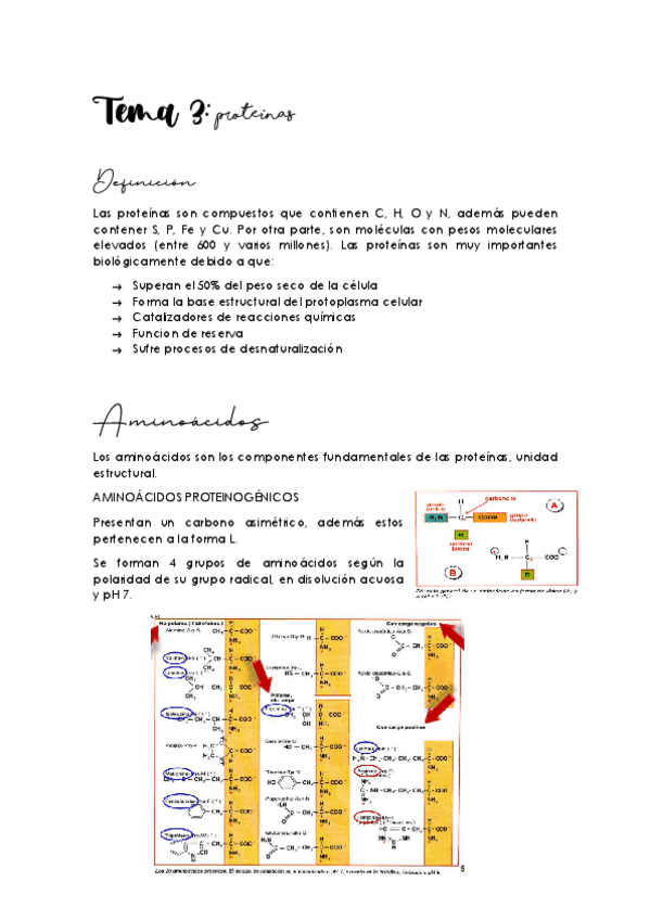 Miniatura del documento TEMA-3-proteinas.pdf