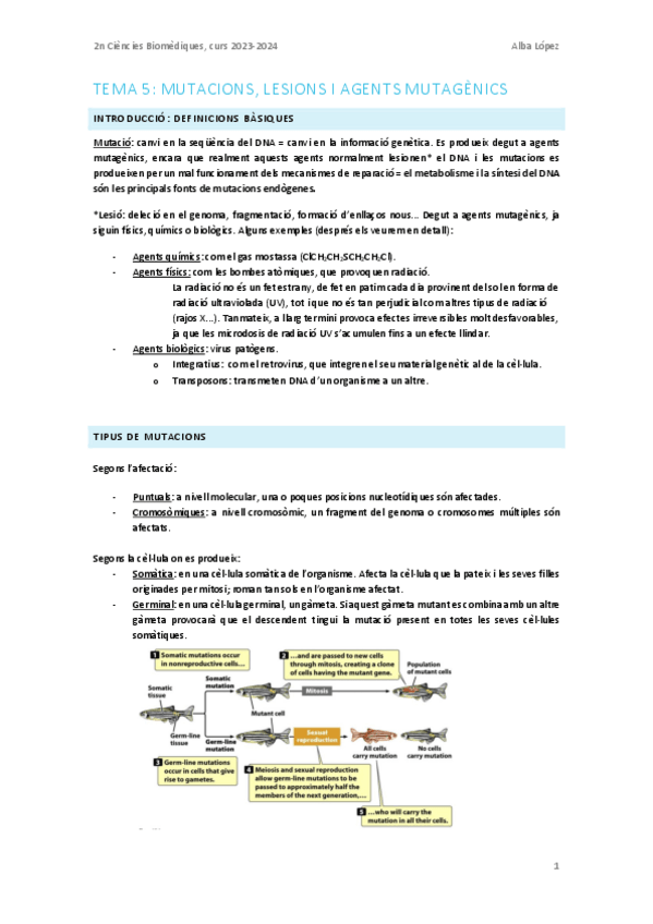 Miniatura del documento Tema-5.-Mutacions-lesions-i-agents-mutagenics.pdf