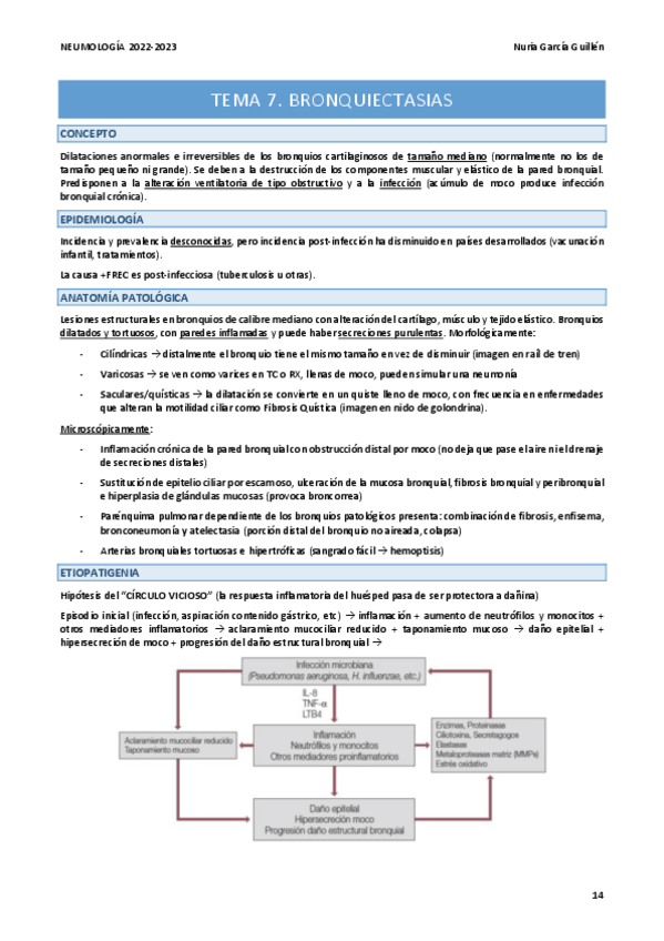 Miniatura del documento RESUMEN-NEUMO-T7.pdf