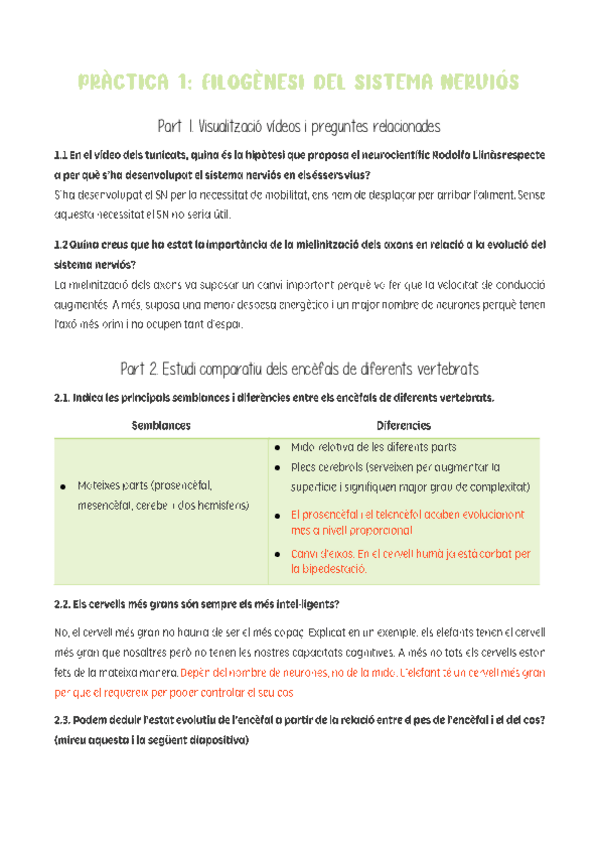 Miniatura del documento Practica-filogenesi-del-sistema-nervios.pdf