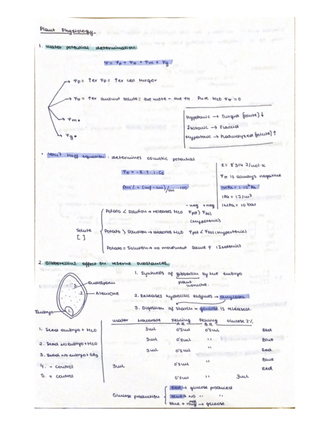Miniatura del documento Plant-Physiology-practicas.pdf