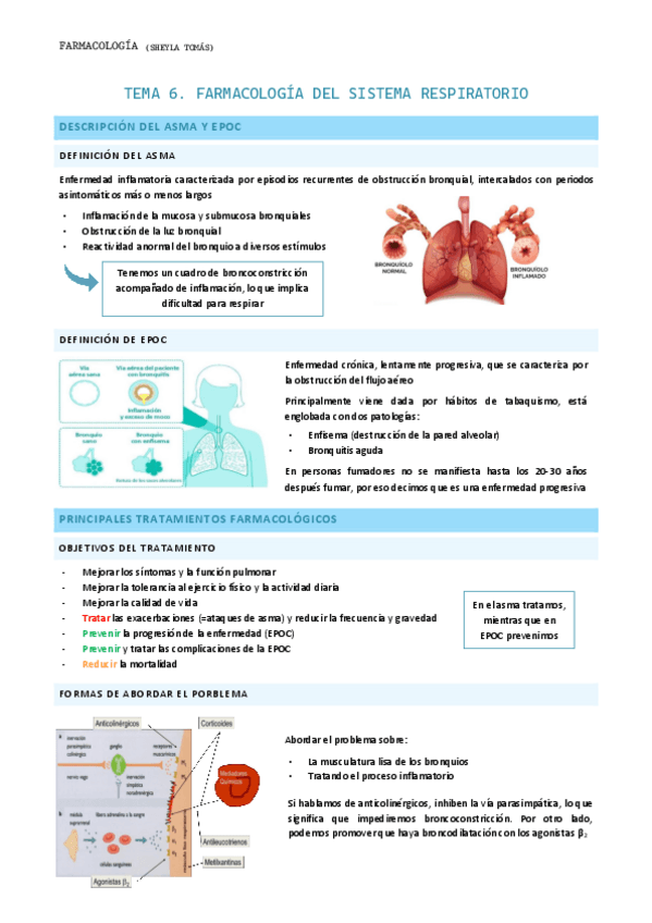 Miniatura del documento Tema-6.-Farmacologia-del-sistema-respiratorio.pdf