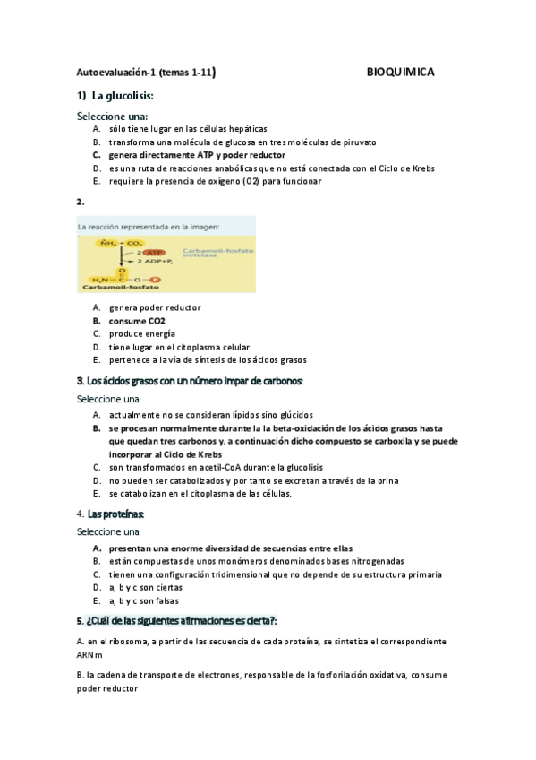 Miniatura del documento Autoevaluacion-t1-11.pdf
