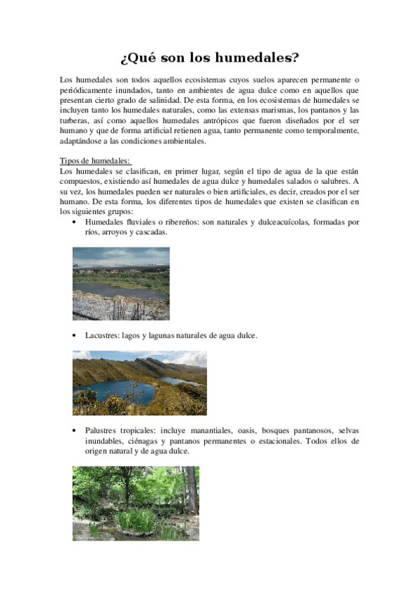 Miniatura del documento Que-son-los-humedales.docx