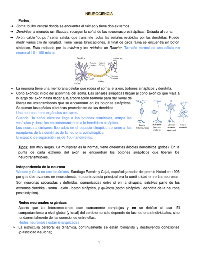 Miniatura del documento Examen-2.docx