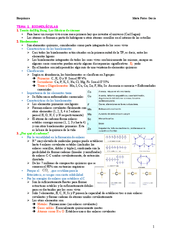 Miniatura del documento Bioquimica-Temario-Unido.pdf