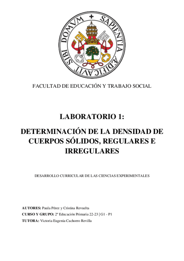 Miniatura del documento Informe-laboratorio-1-fisica.pdf