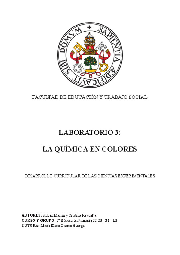 Miniatura del documento Informe-Laboratorios-quimica.pdf