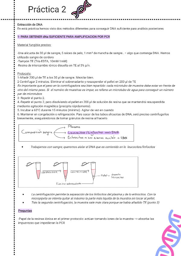 Miniatura del documento P2-Genetica.pdf