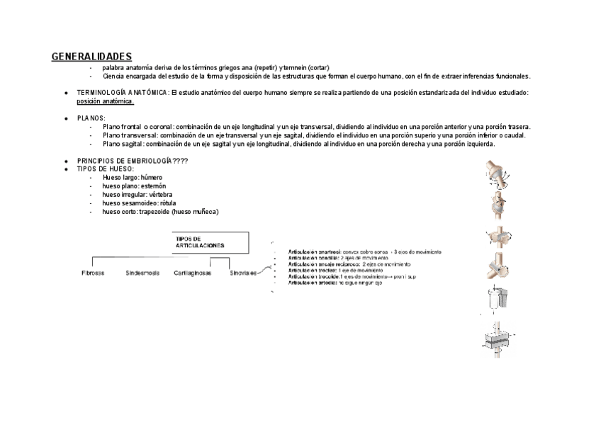 Miniatura del documento ANATOMIA-I.pdf