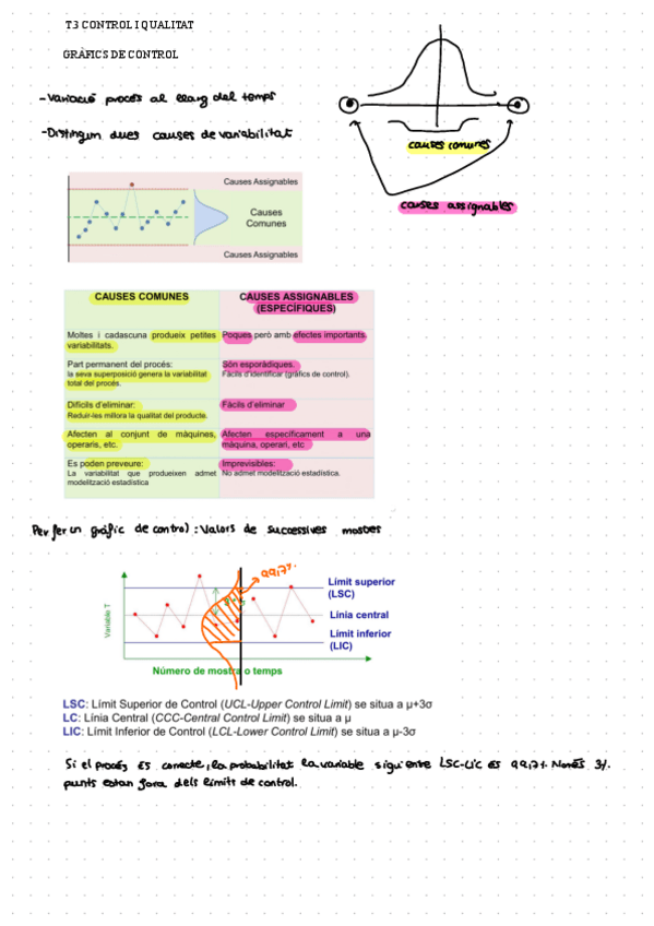 Miniatura del documento Resum-control-i-qualitat.pdf