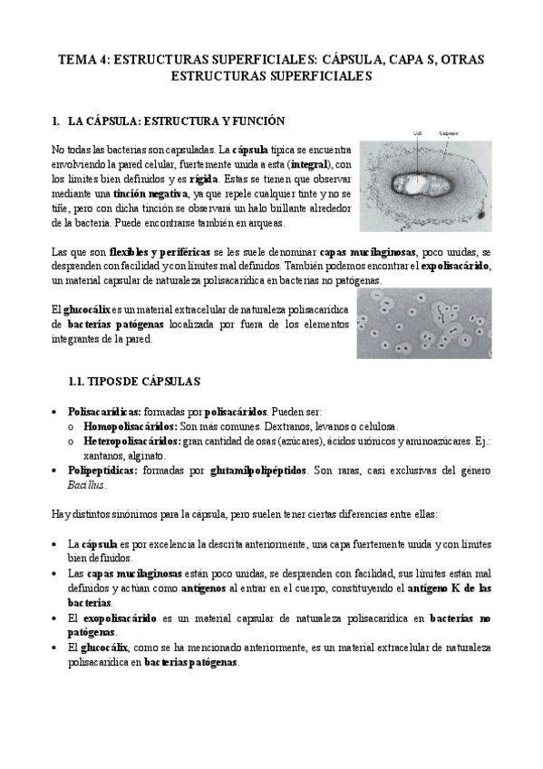 Miniatura del documento Tema-4-micro-I.pdf