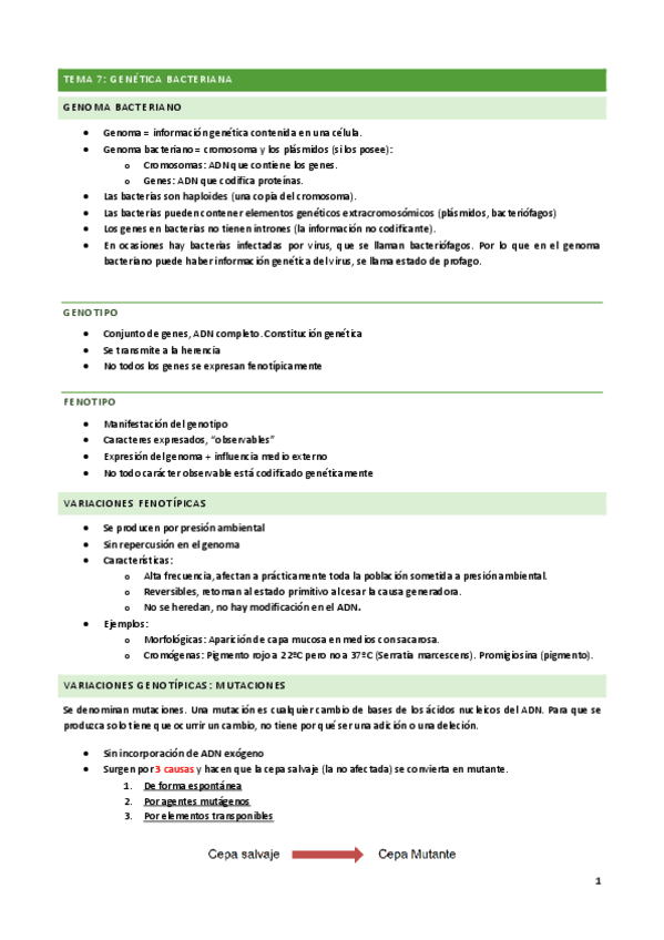 Miniatura del documento Tema-7.pdf