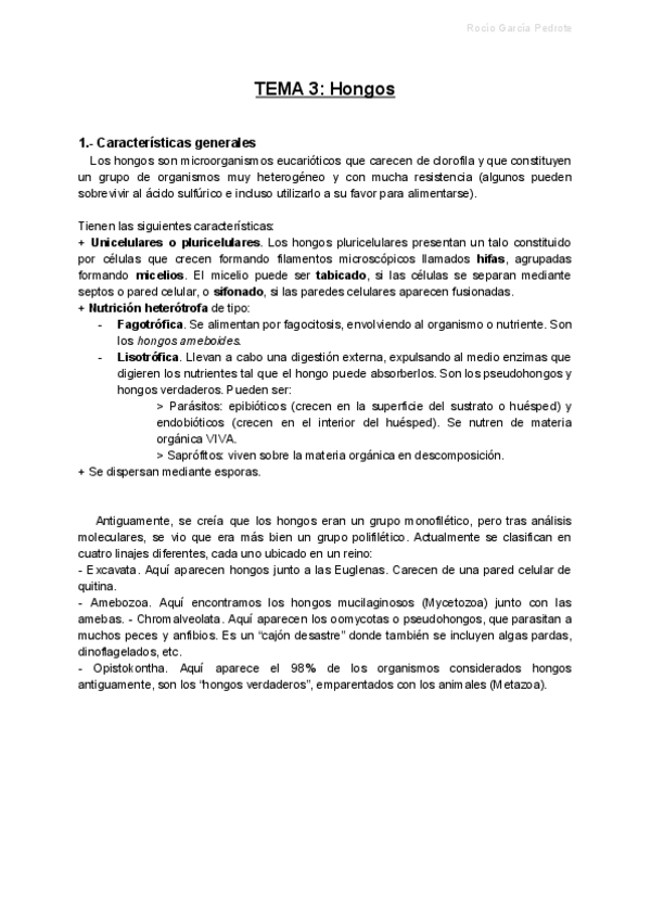 Miniatura del documento TEMA 3.pdf