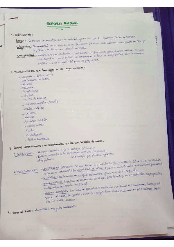 Miniatura del documento ex riesgos.pdf