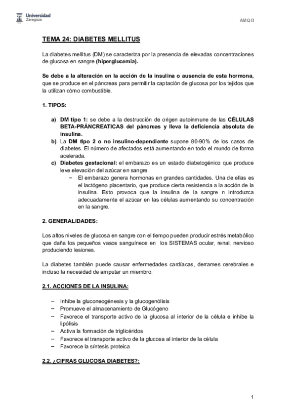 Miniatura del documento T24.pdf