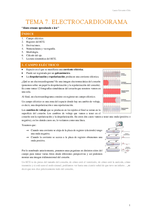 Miniatura del documento Tema-7.-Electrocardiograma.pdf