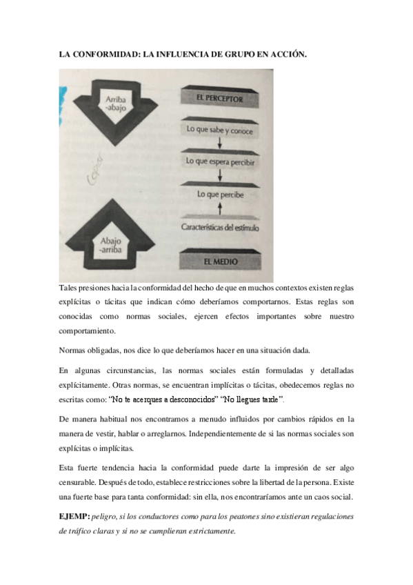 Miniatura del documento TEMA-5-PSICOLOGIA-SOCIAL.pdf